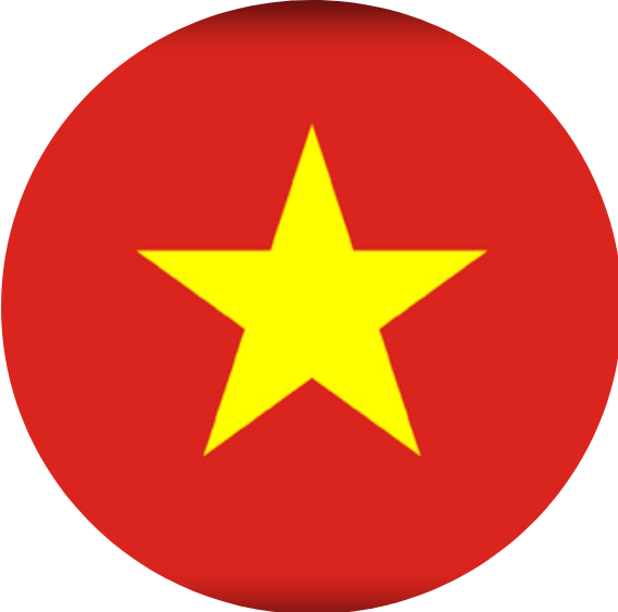 Флаг Вьетнам.png