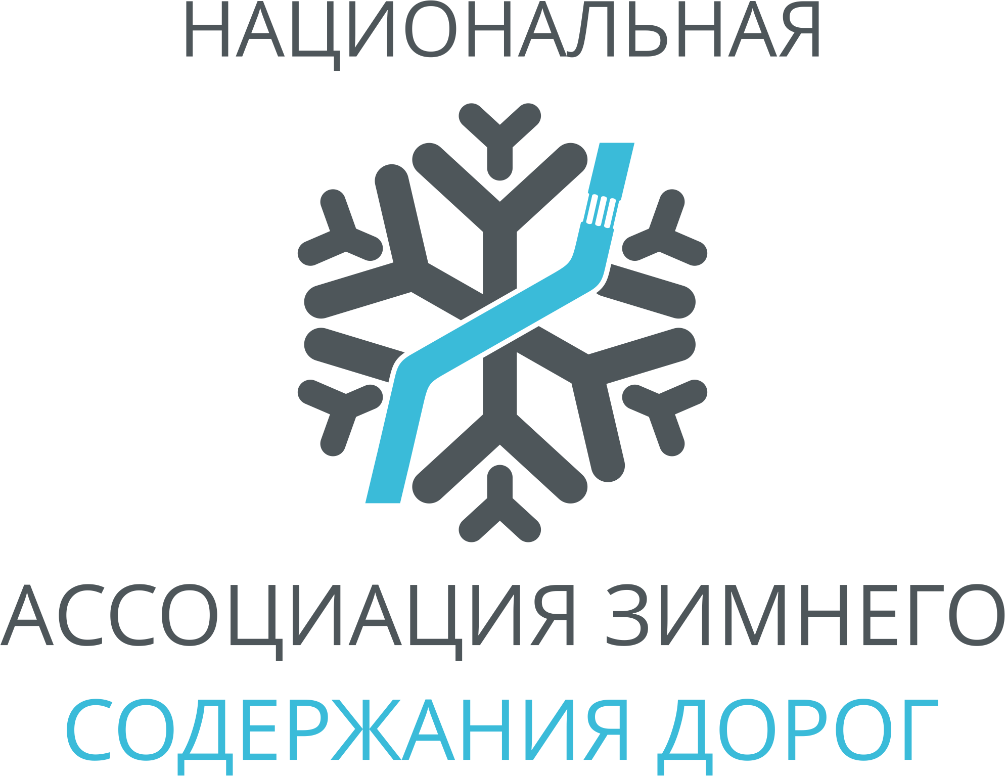 Национальная ассоциация зимнего содержания дорог
