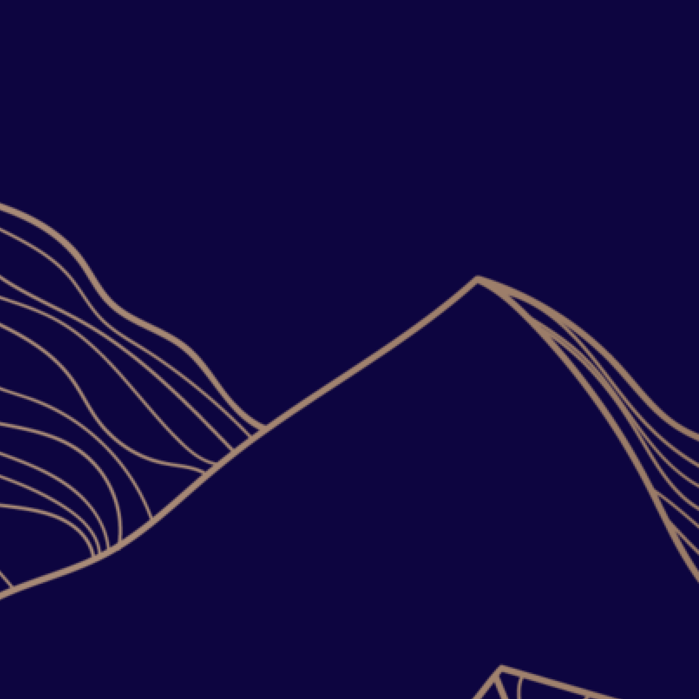 «Цифровое мастерство»