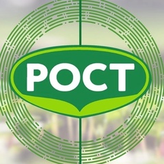 Рост
