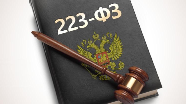 Практика применения Федерального закона № 223-ФЗ