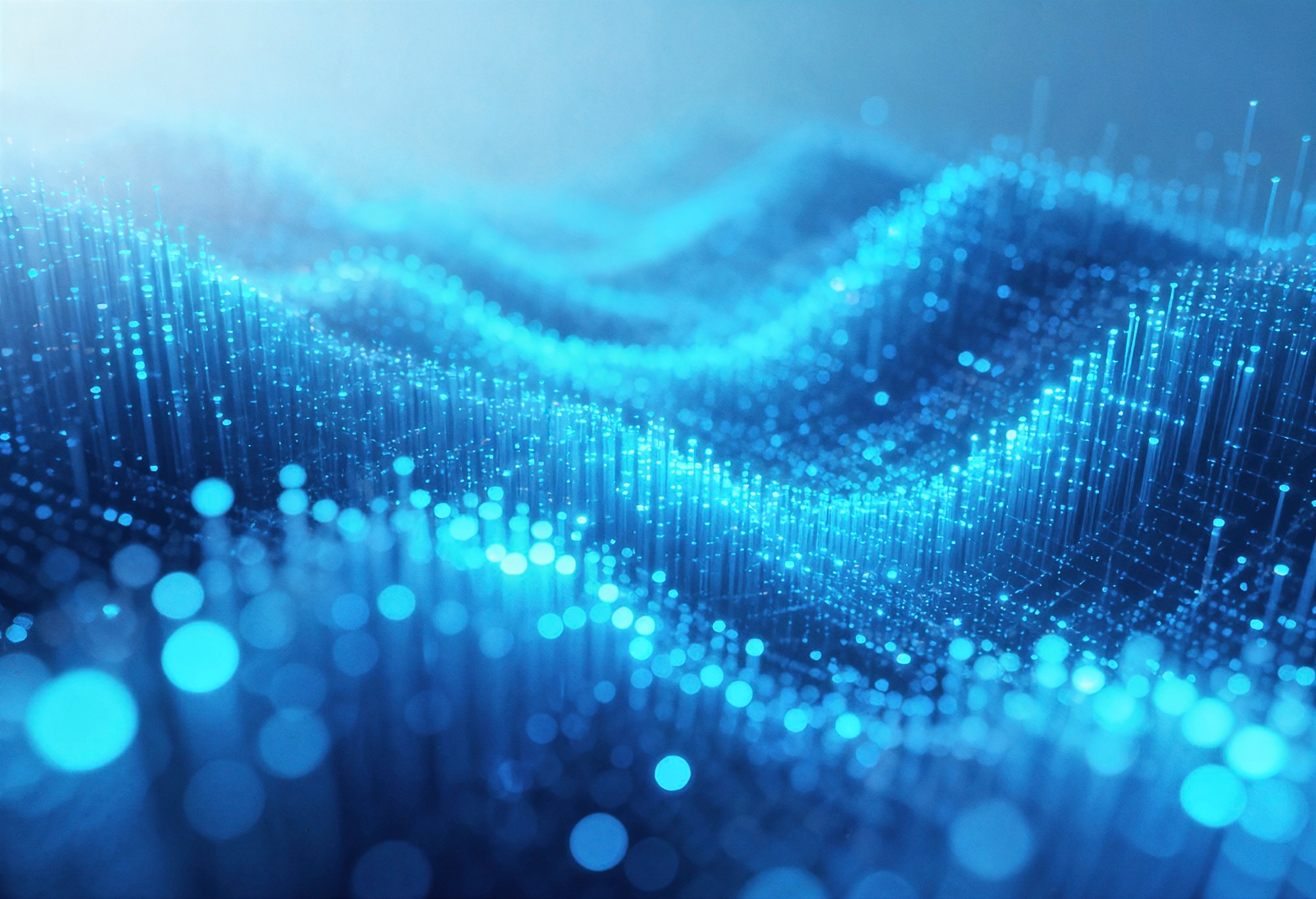 Организовано совместно с Федеральной налоговой службой России