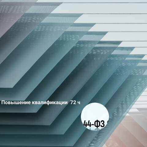 Осуществление закупок у единственного поставщика
