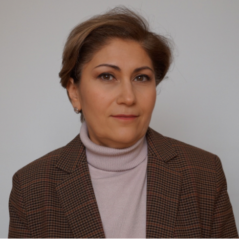 Мардеян Ноэми Аристакесовна