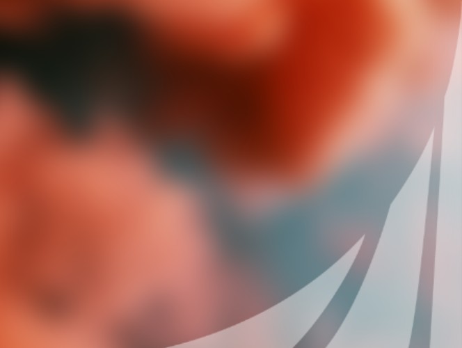 Веб-дизайнер