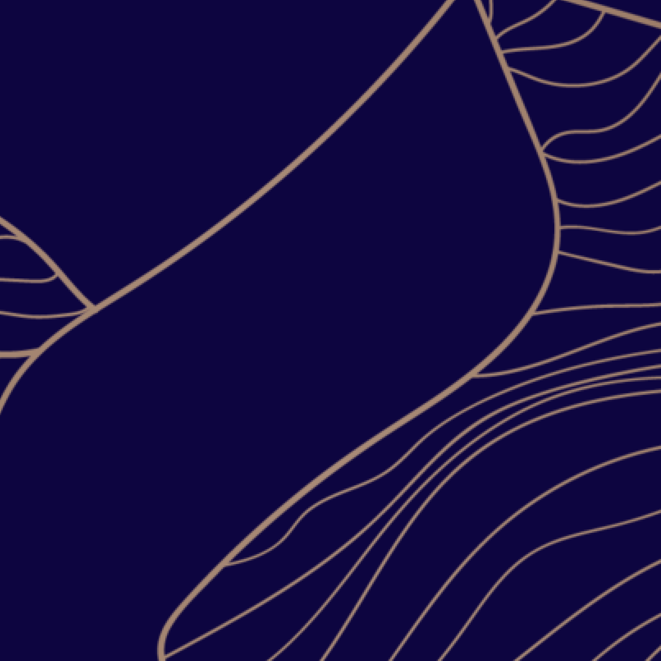 «Лучшая практика применения гибридной аудитории в учебном процессе»