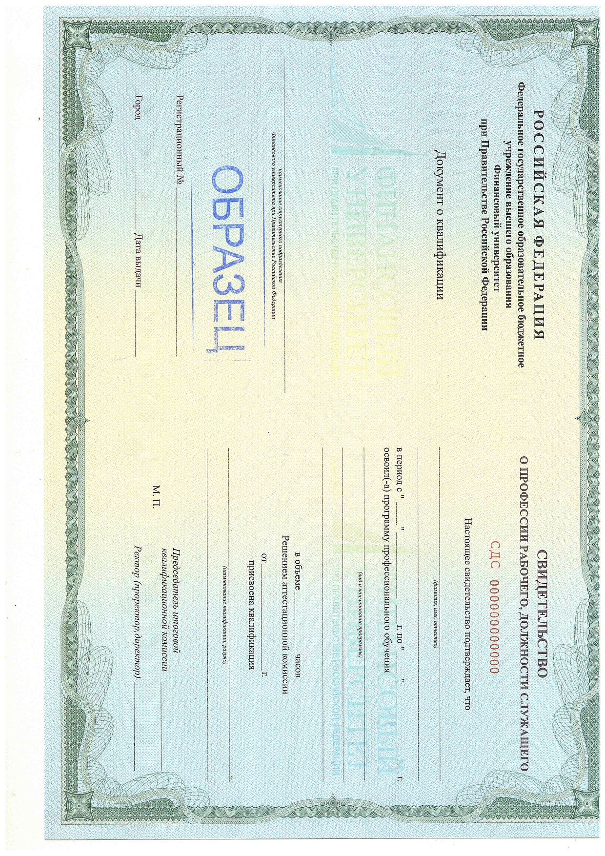 Документ, который Вы получите