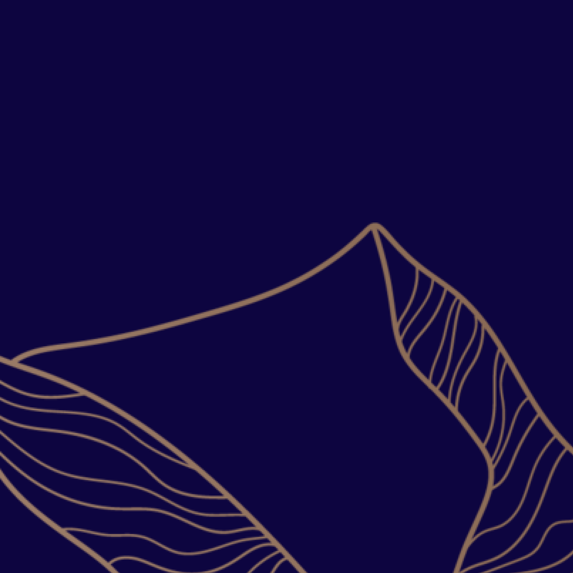 «Педагогическое мастерство/Лучший лектор»