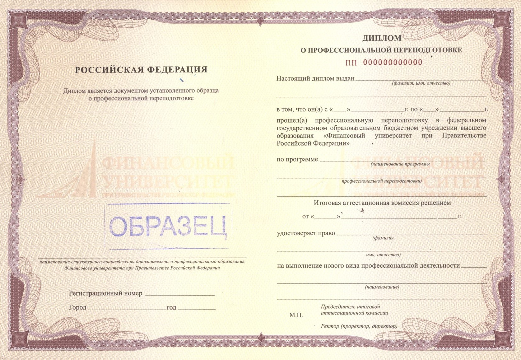 Документ, который Вы получите