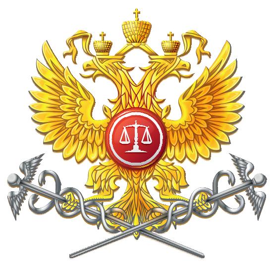 Счетная палата Российской Федерации
