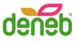 Deneb