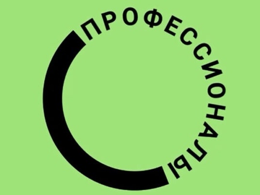 Чемпионат профессионального мастерства 