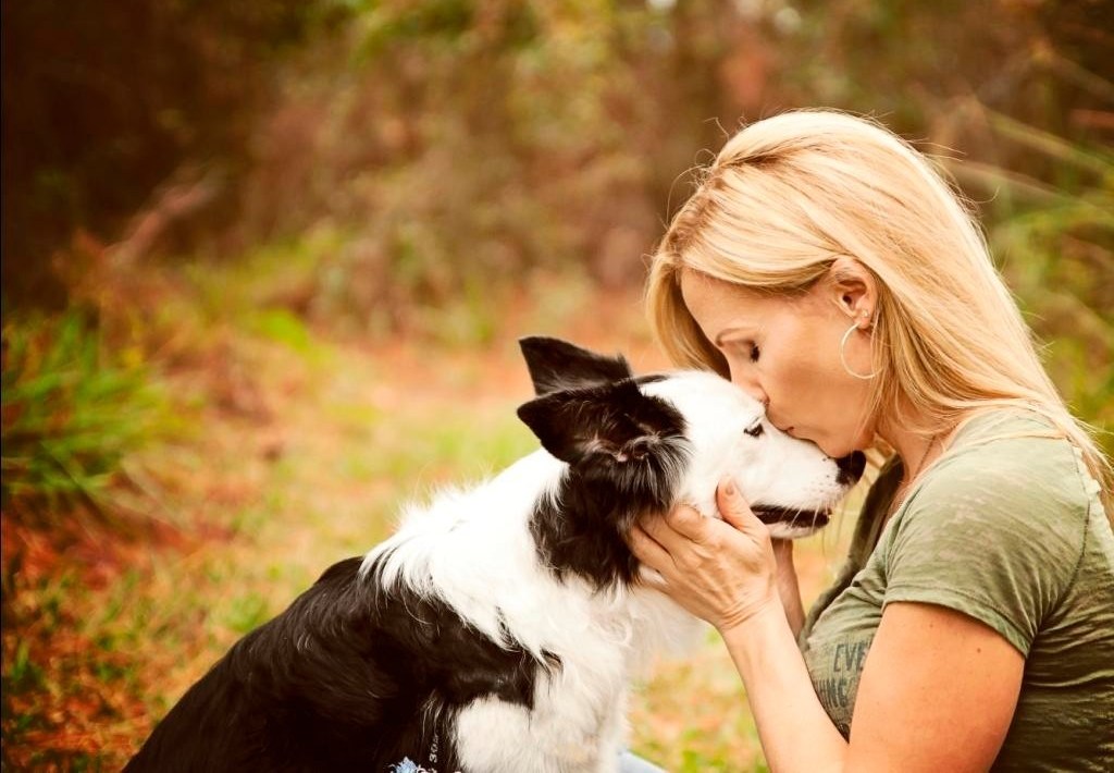 28.11.2025 17:00 Психологический тренинг с использованием метода канистерапии «Хвостатый антистресс»