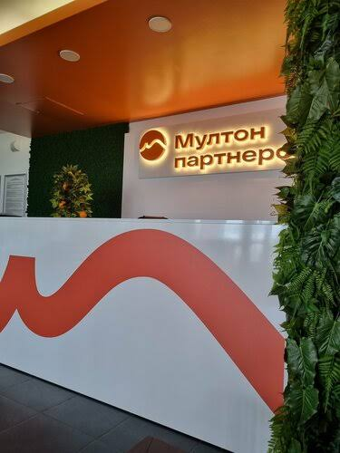 Интерактивная встреча с компанией «Мултон Партнерс»