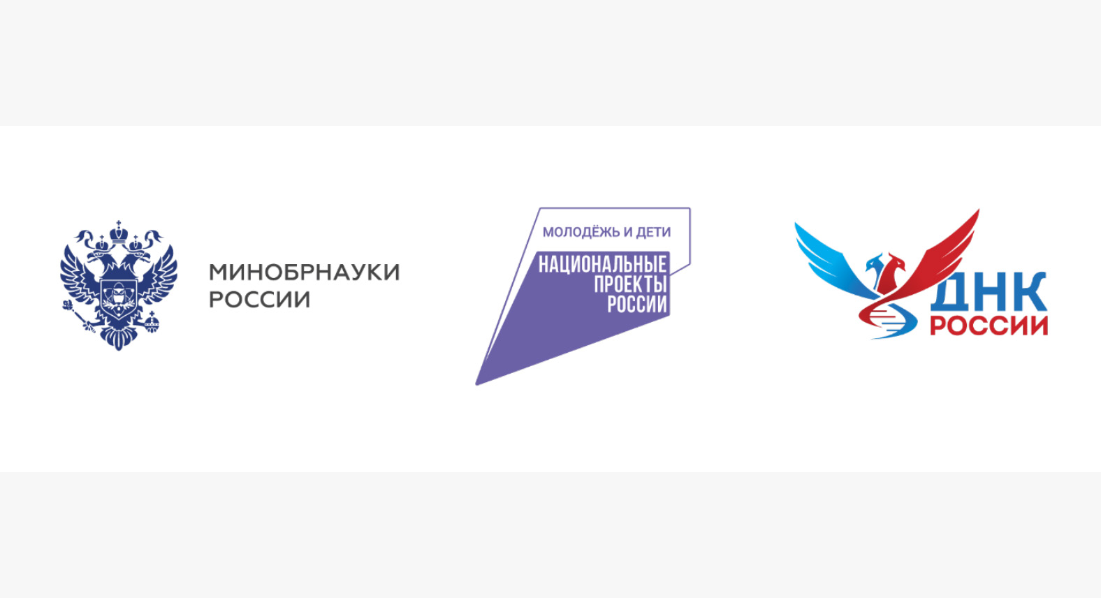 Основы российской государственности