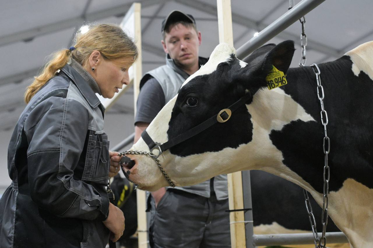 Правительство направит свыше 500 млн рублей на подготовку кадров для агропромышленного комплекса