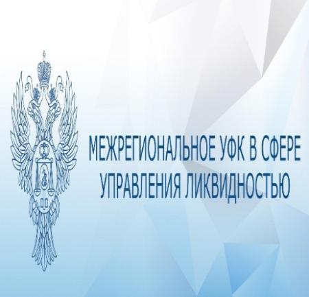 Открытая лекция Хижовой Екатерины Михайловны, консультанта Отдела расчётов по операциям на финансовом рынке Межрегионального управления Федерального казначейства в сфере управления ликвидностью