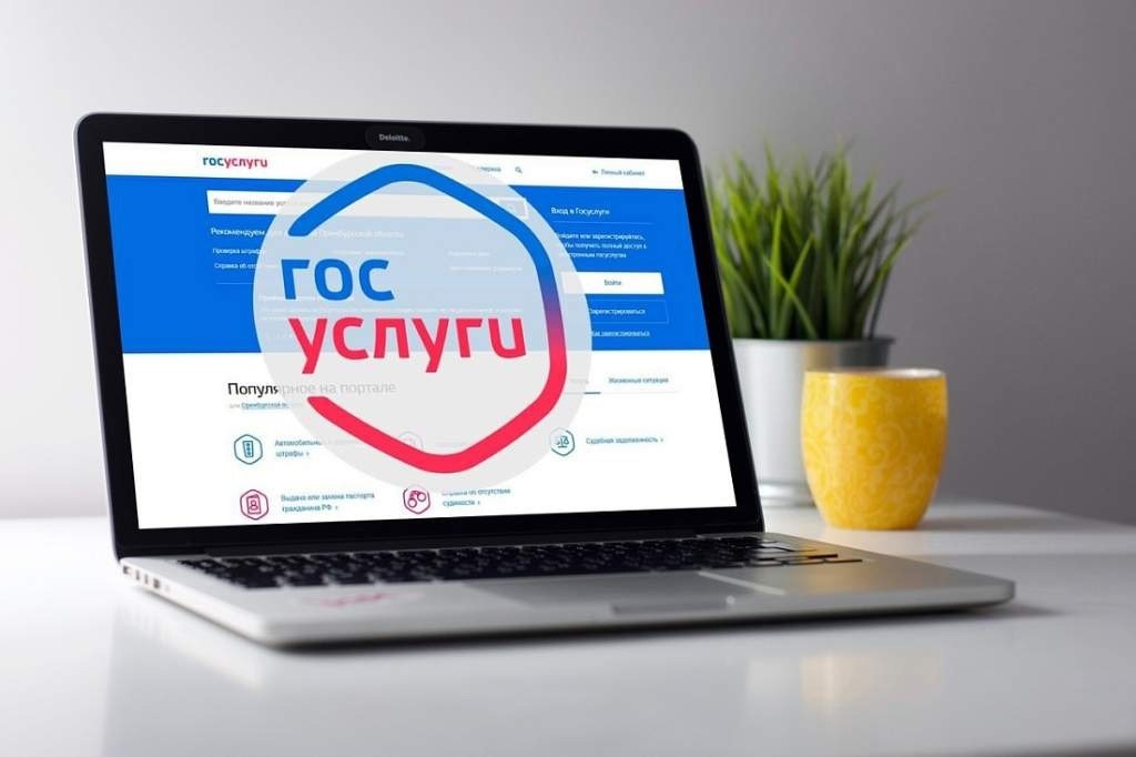 Что делать, если нет Госуслуг? 