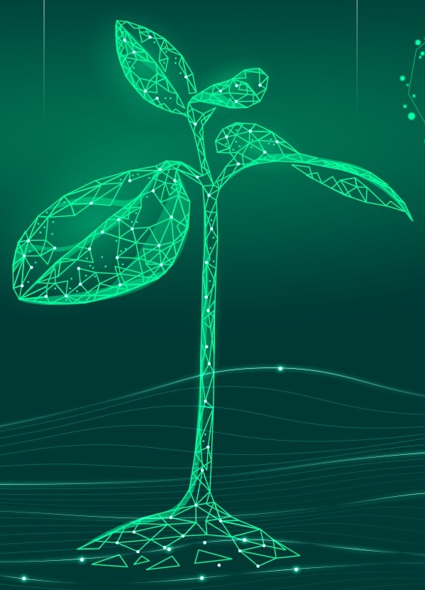 Итоги XXVI Всероссийского открытого конкурса научно-исследовательских работ студентов и молодых ученых «Зеленый росток - 2026»