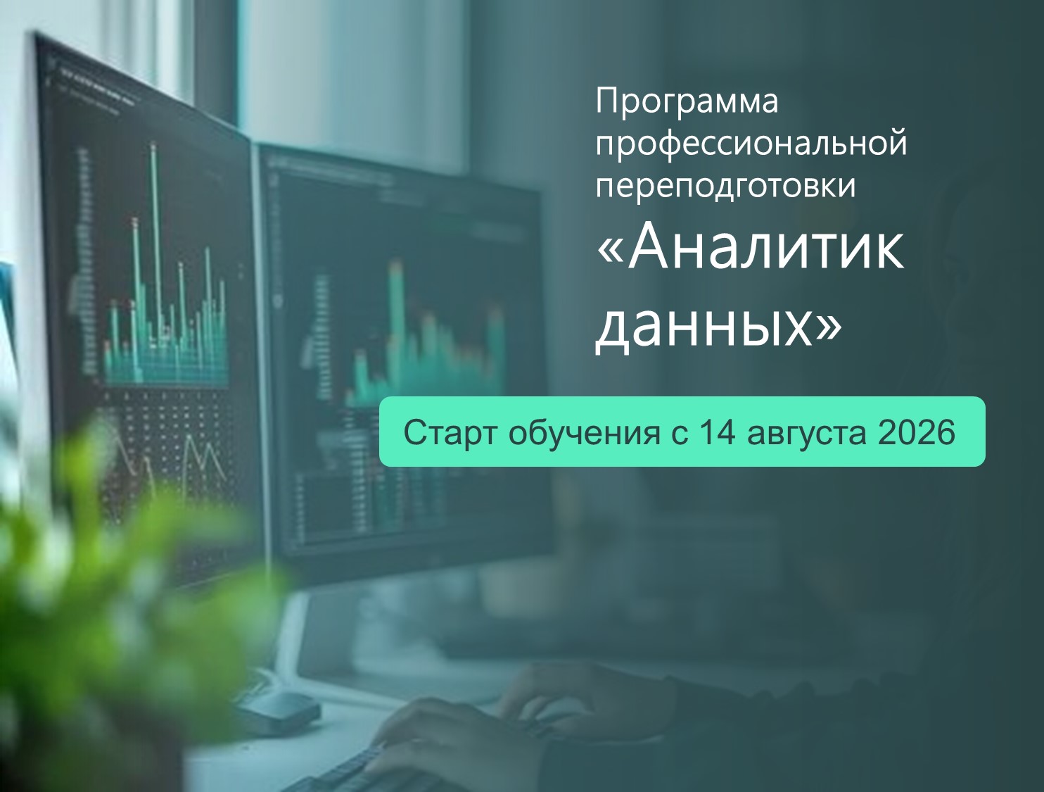 Стартует обучение по программе «Аналитик данных» в рамках нацпроекта «Кадры»