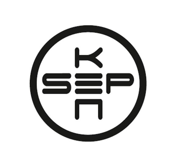 Рабочая встреча с руководителем Исполнительного центра «Космическая экономика и политика» В. Б. Уваровым