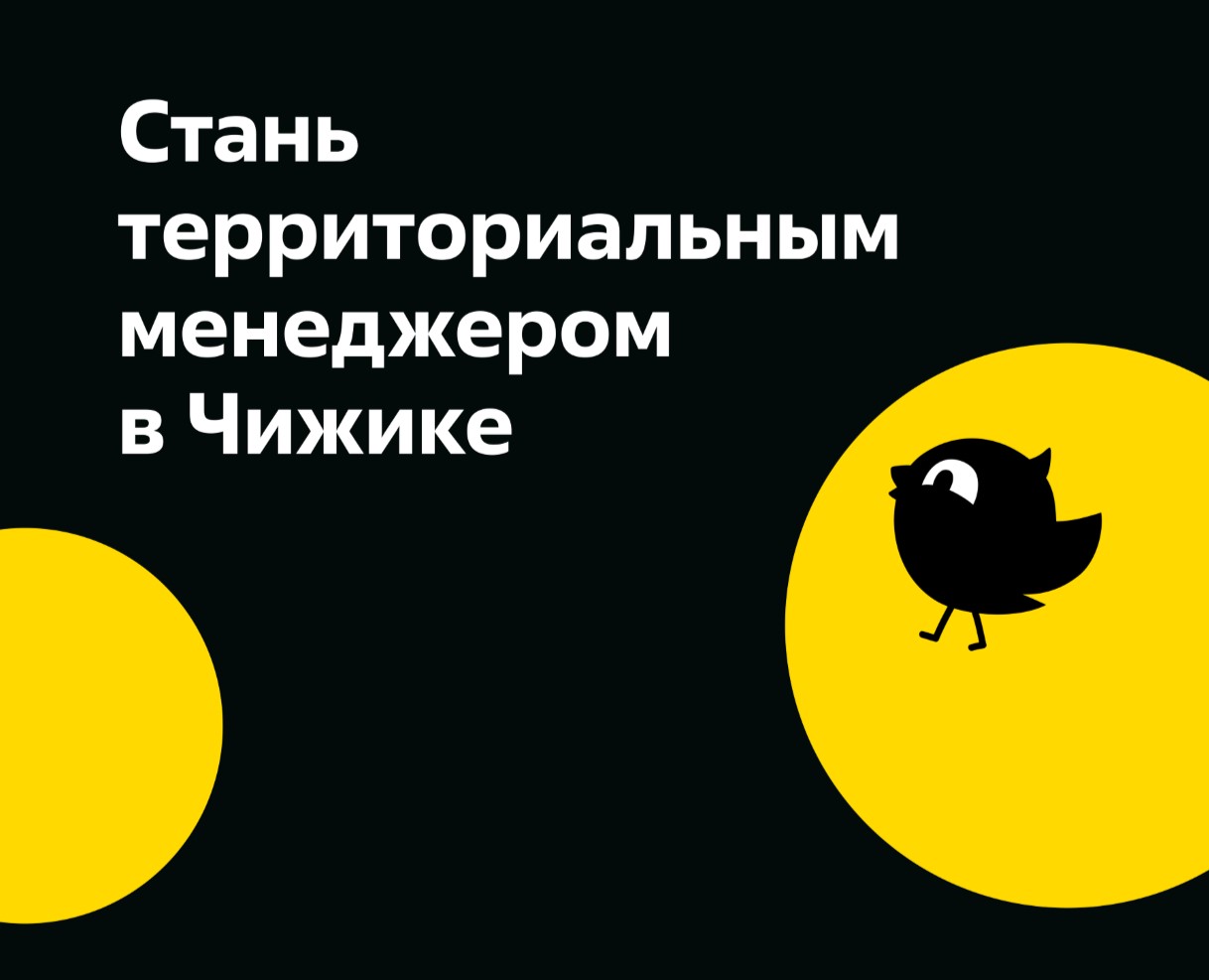 Лидерская программа «Чижик — взлёт»