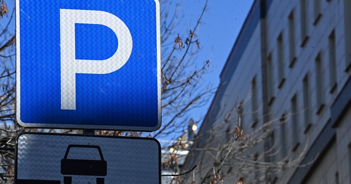 Многодетные семьи смогут подтвердить льготу на парковку в Шереметьево онлайн