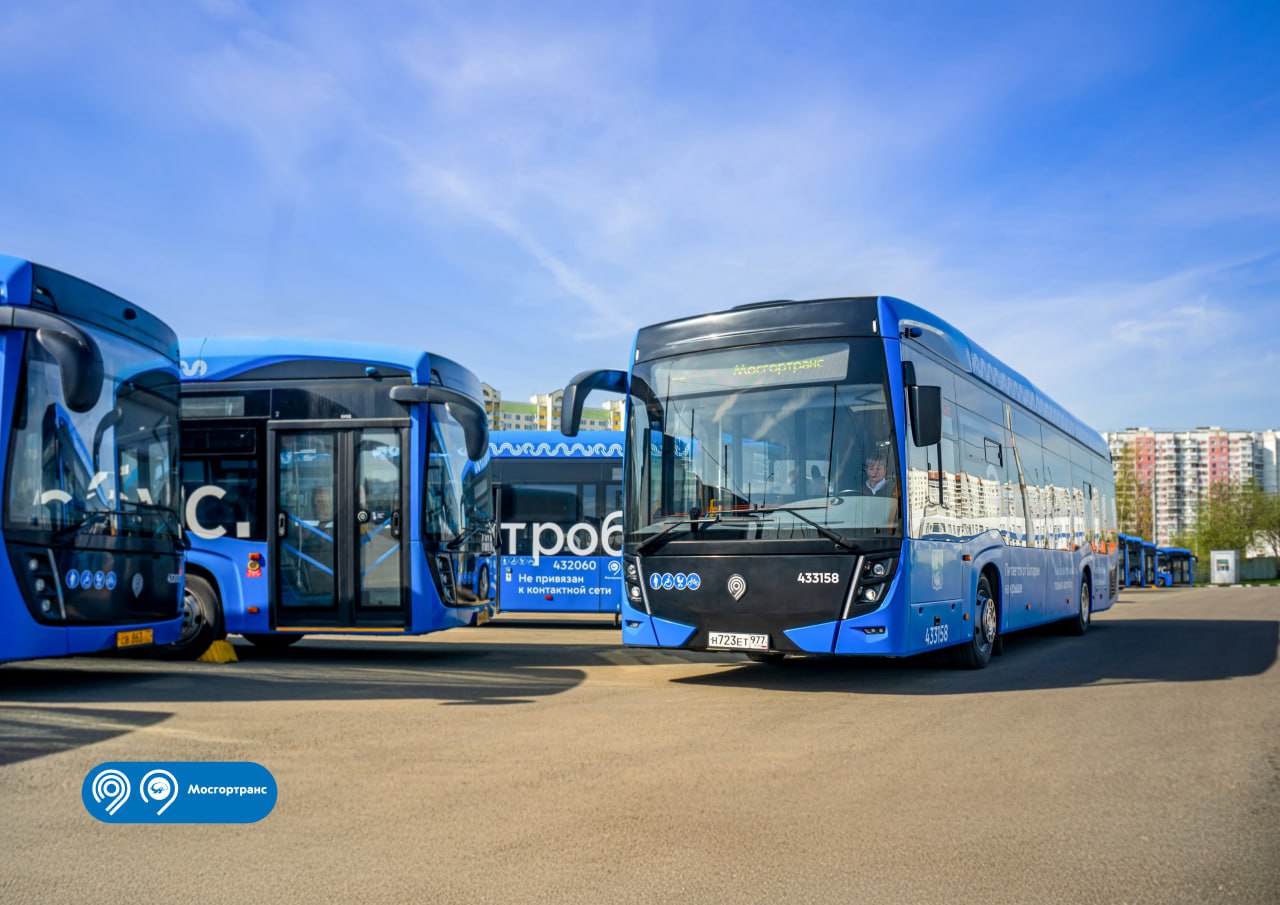 О льготах по транспортному налогу