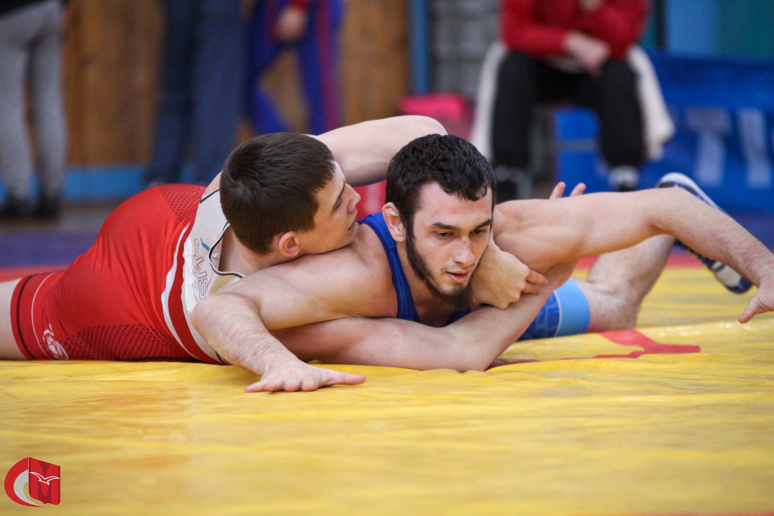 Студенты Финансового университета призеры соревнований по греко-римской борьбе в программе XXXVIII МССИ