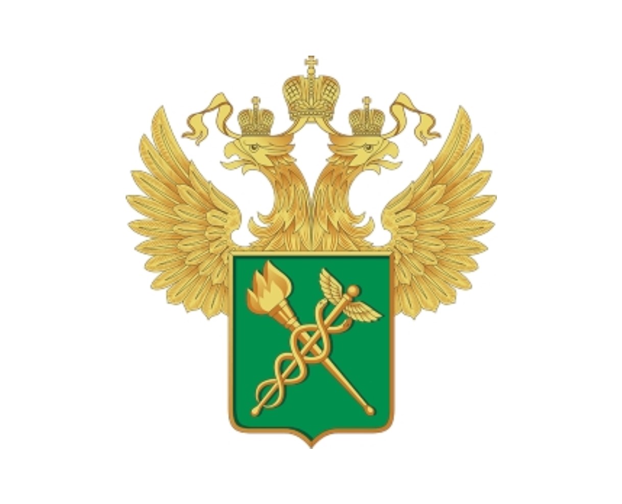 Старт карьеры в Центральной энергетической таможне