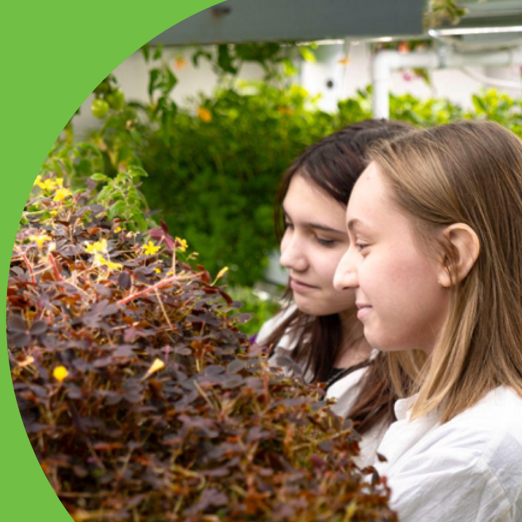 Фестиваль «ВузЭкоФест‑2026» пройдет в Финансовом университете