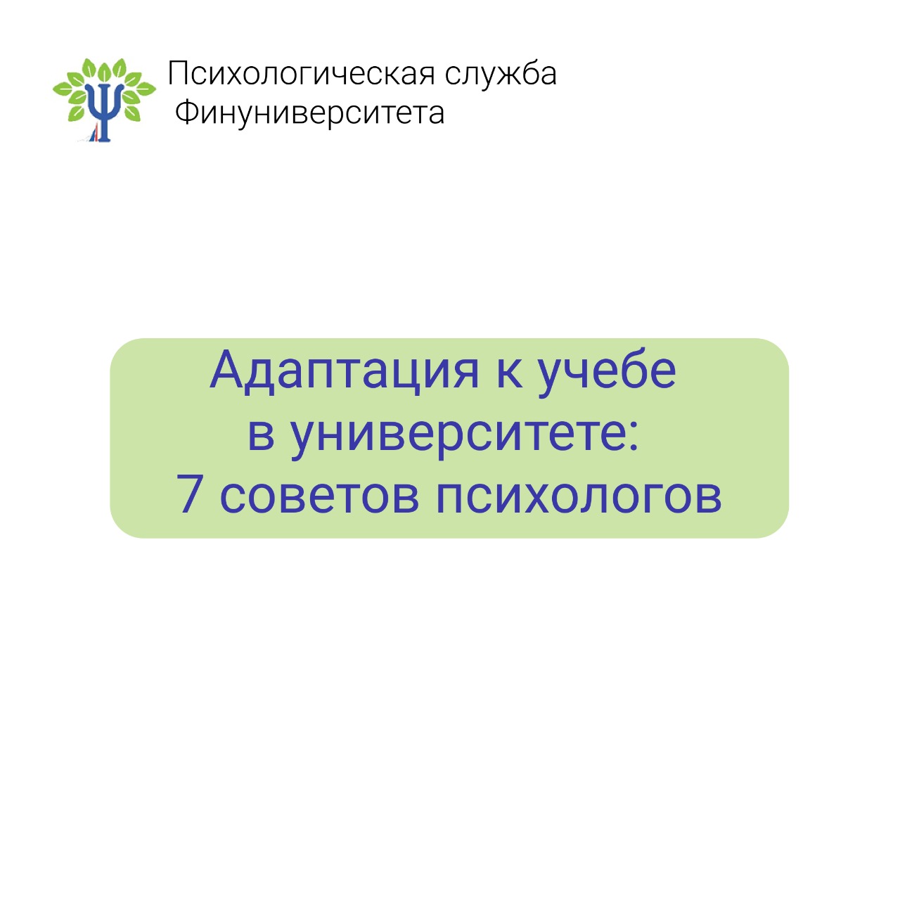 WhatsApp Image 2023-09-29 at 10.08.07.jpeg